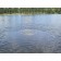 Kasco Robust-Aire 1 Diffused Aeration System — 1.5 Acre Pond Capacity, Model# RA1-PM